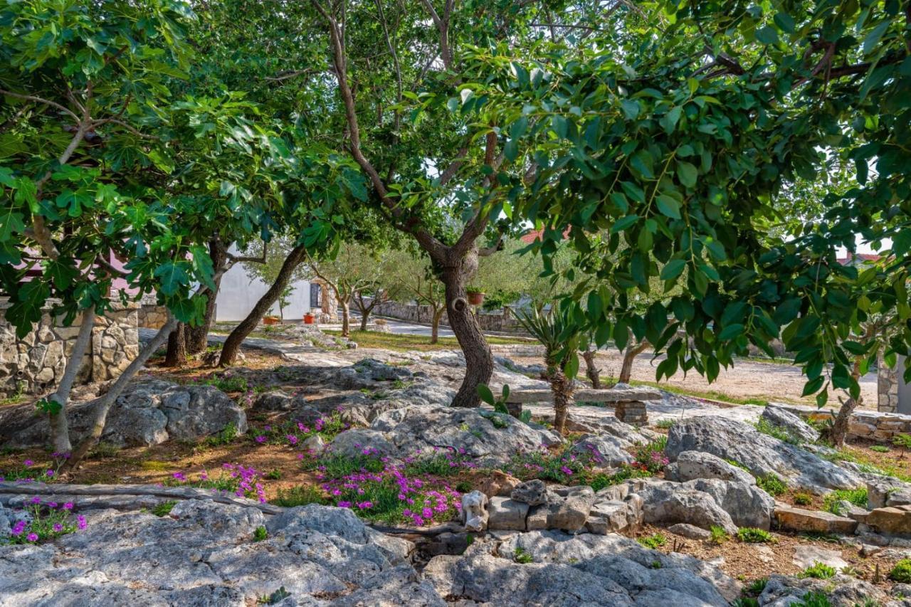 Villa Eagle Benkovac Ngoại thất bức ảnh