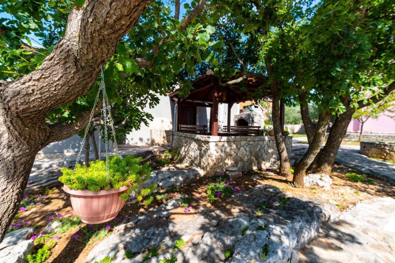 Villa Eagle Benkovac Ngoại thất bức ảnh