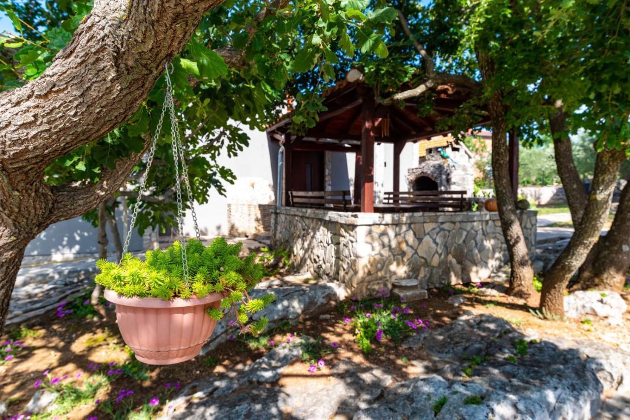 Villa Eagle Benkovac Ngoại thất bức ảnh